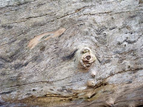 10 Super High Res Wood Textures Psdfan