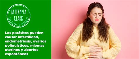 Los Par Sitos Pueden Causar Infertilidad Endometriosis Ovarios