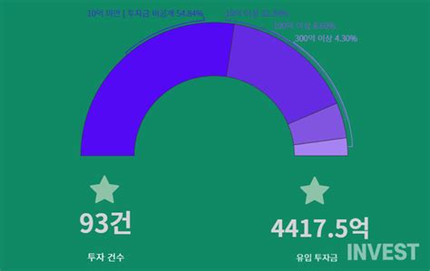 글로벌 빅테크 Ai 생태계 조성 과열 스타트업 투자에만 35조 뭉칫돈 투척