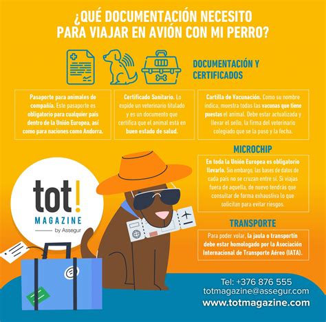 INFOGRAFÍA Qué documentación necesito para viajar en avión con mi