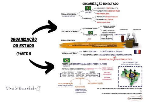 Organiza O Do Estado Direito Constitucional Resumo Completo