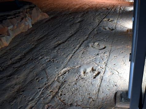 L analyse par IA des traces de dinosaures suggère une nouvelle