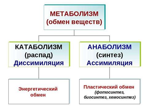 Признаки и свойства живых систем - online presentation