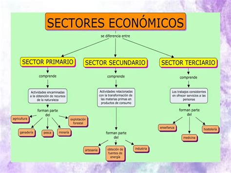 Tomi Digital Sectores De La Actividad EconÓmica