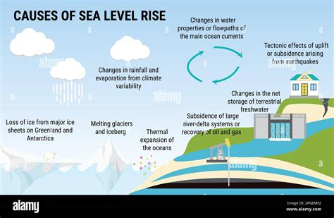 Causas del aumento del nivel del mar Infografía vectorial ambiental