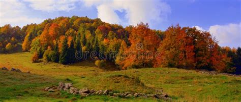 Nature Ecosystem Temperate Broadleaf And Mixed Forest Nature Reserve