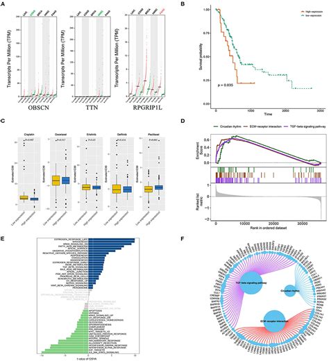 Frontiers Case Report Novel RPGRIP1L Gene Mutations Identified By