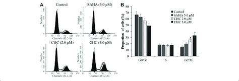 Chc Caused G M Arrest In Bel Fu Cells A Bel Fu Cells
