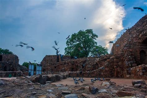 Feroz Shah Kotla (Fort) | A Visit to the Ruins of Fifth City in the History of Delhi - My Travel ...