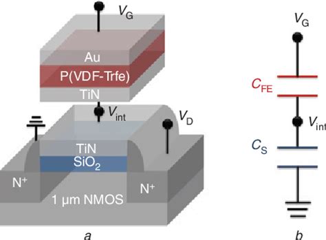 Figure 1 From Impact Of Temperature On Negative Capacitance Field