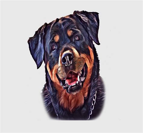 Cool Rottweiler Face Art Painting By Maystro Pixels