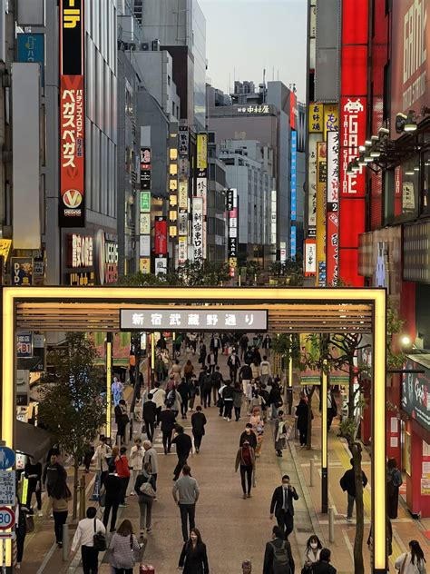 Ginza Or Shinjuku A Detailed Comparison By A Local In The