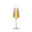 Nude Stem Zero Volcano Champagne Glass Perigold