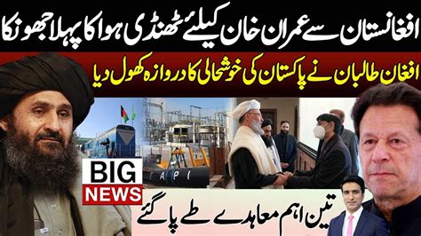 Pakistan Afghanistan News Updates Taliban Give Good News To Moeed Yusuf