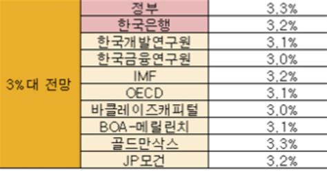 민간硏·해외ib 내년 2대 성장 전망 다수신흥국 경제 韓 경제 최대 리스크