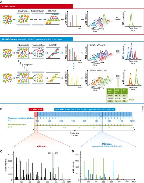 Data‐independent Acquisition‐based Swath‐ms For Quantitative Proteomics A Tutorial Molecular