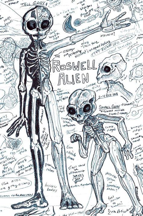 Roswell Alien Flatwoods Monster And Other Extraterrestrials Field