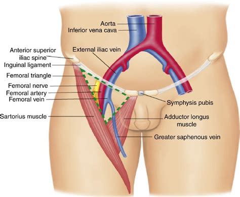 Hot Inner Thigh Massage