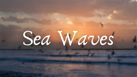 Sea Waves Seagull Sounds Coastal Ambience For Relaxation Beach