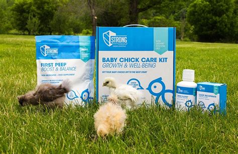 Strong Animals Baby Chick Care Kit