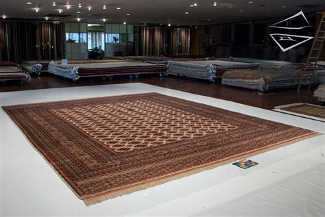 Bokhara Square Rug 14 X 16