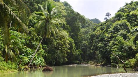 Lugares Imprescindibles En Tu Viaje A Costa Rica Byarnau