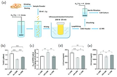 Hydrogen Protected Extraction Increased The Content Of Polyphenolic