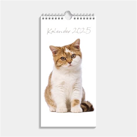 Cats Mini Kalender Kaufen Schnell Und Einfach Online Bestellen