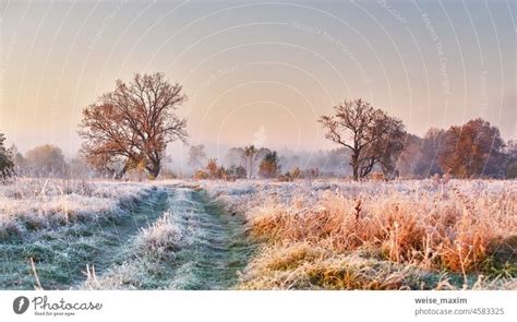 Mit Raureif bedecktes Gras in einem Panorama am frühen Morgen