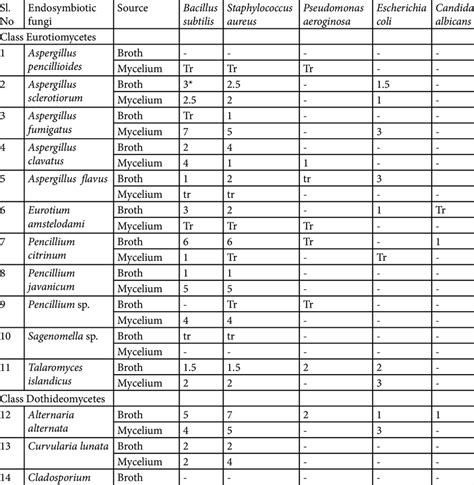 Antimicrobial Activity Of The Extracts Of Endophytic Fungi Download