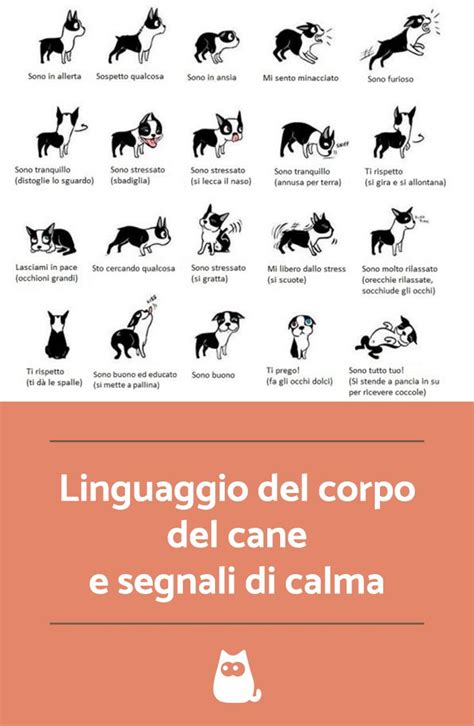 Il Linguaggio Del Corpo Del Cane Come Capire I Suoi Segnali