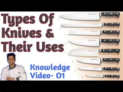 Types Of Kitchen Knives And Their Uses | Wow Blog