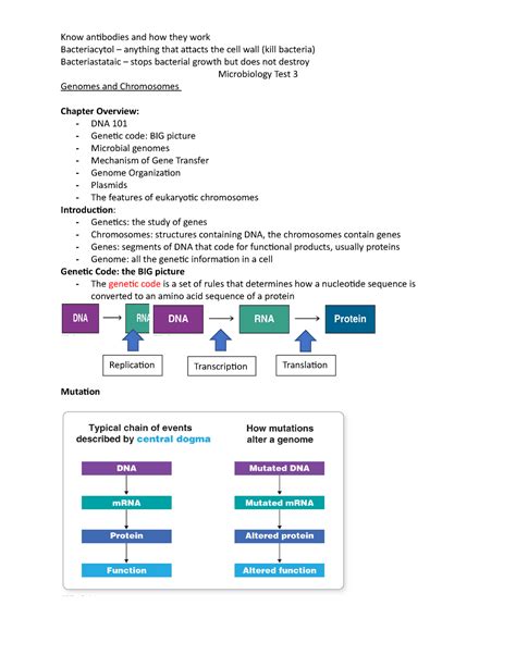 Microbiology Test 3 Lecture Notes Exam 3 Know Antibodies And How