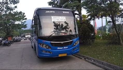 Update Harga Tiket Bus Sinar Jaya Hari Ini Cek Hargatiket Bus Arus