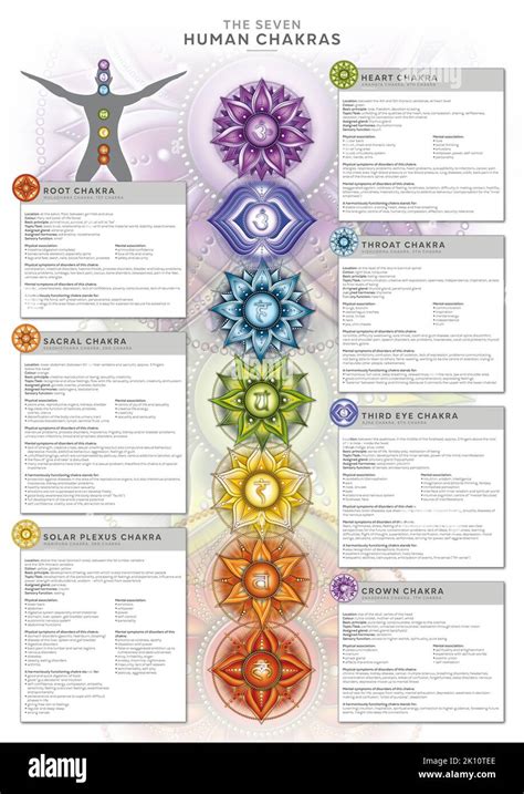 Descripci N De Los Chakras Immagini E Fotografie Stock Ad Alta