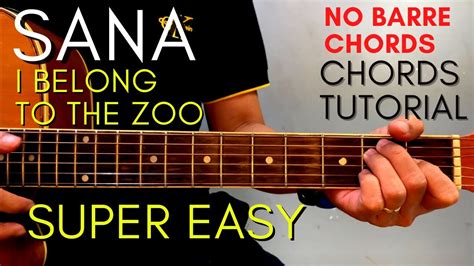 I Belong To The Zoo Sana Guitar Chords Tutorial Easy Tutorial Acordes