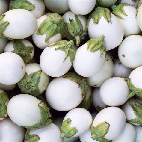 Japanese Eggplant ‘white Egg 20 Seeds Solanum Melongena Vegetable