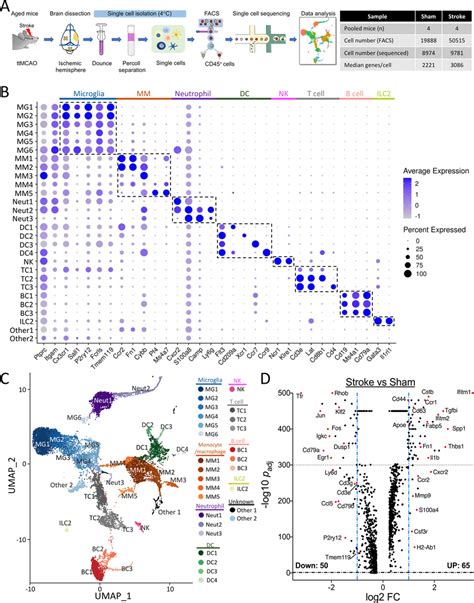 Scrna Seq Analysis A Workflow And Data Table Of Our Scrna Seq