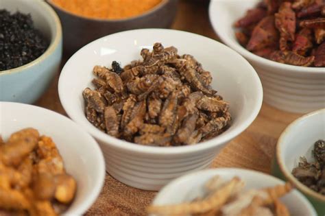 Bug Protein How Entrepreneurs Are Persuading Americans To Eat Insects