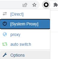 IrInA Host Bot