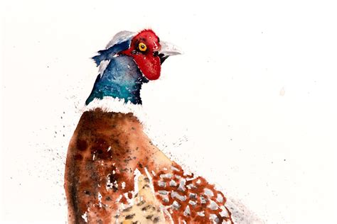 Pheasant Painting - Original Pheasant Watercolour Painting Pheasant X ...