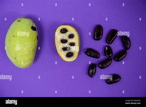 A Still Life Of A Freshly Picked American Paw Paw Fruits On A Purple