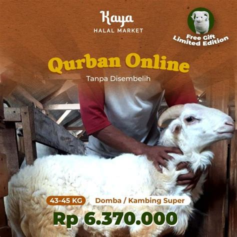 Jual HEWAN KURBAN KAMBING DOMBA SUPER BERAT 43 45 KG KAYA HALAL