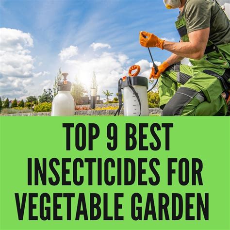 Top Best Insecticide For Vegetable Garden In