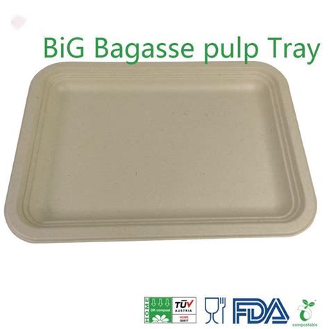 X Biodegradable Sugarcane Disposable Big Rectangular Deep Meat