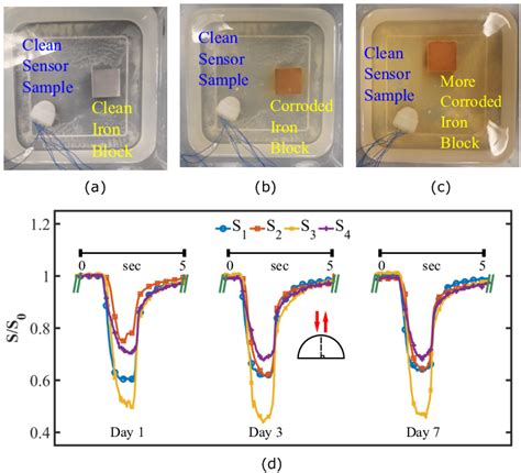 Waterproofing and corrosion resistance test with a sensor and an iron ...