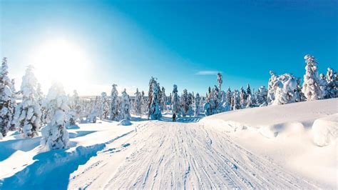 Things to do in Lapland | TUI.co.uk