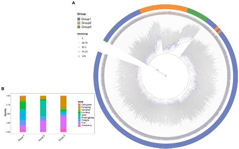 Frontiers Whole Genome Resequencing Reveals The Origin Of Tea In Lincang