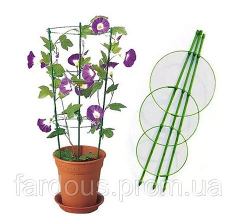 Купить Кольцевая опора для растений. 90*35 см, цена 152.50 ₴ — Prom.ua ...