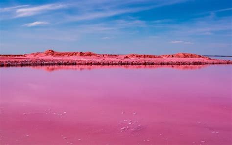 Premium Photo A Long Island Covered With Salt On A Pink Lake Lake